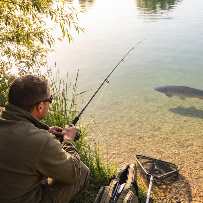 Stalking carp: technique, approach and gear