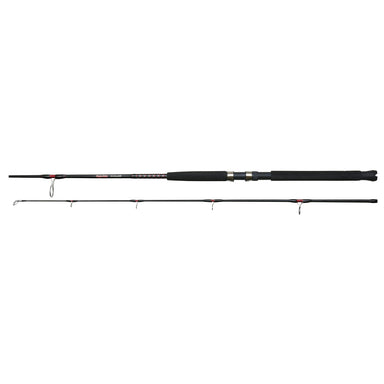 Bigwater Spinning Rod
