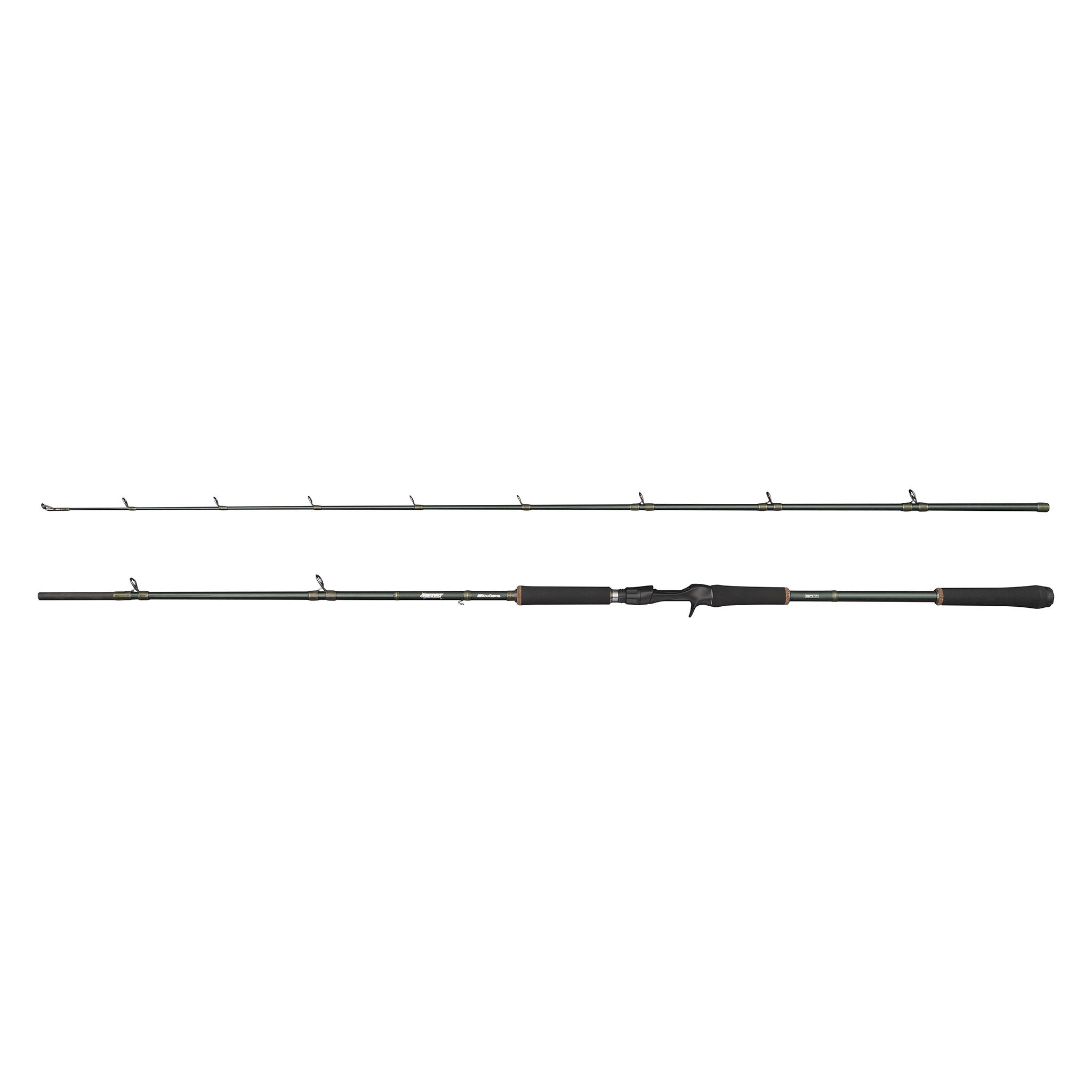 Beast X Casting Rod