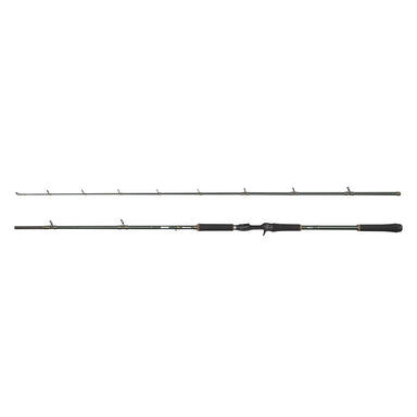 Beast X Casting Rod