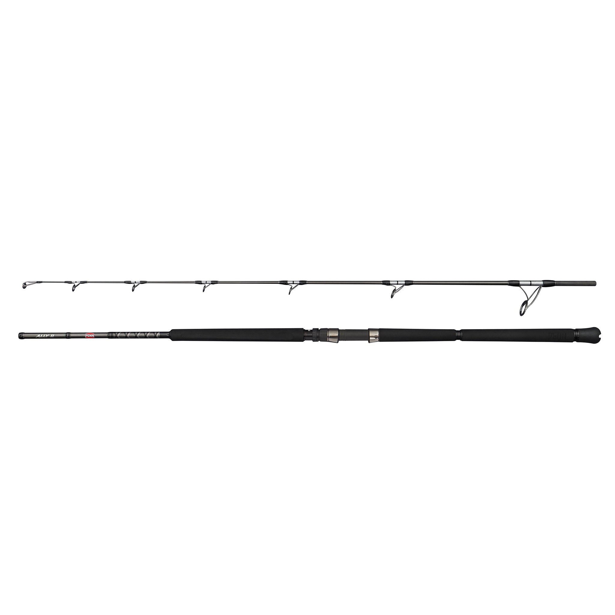 Ally II Offshore Casting Rod