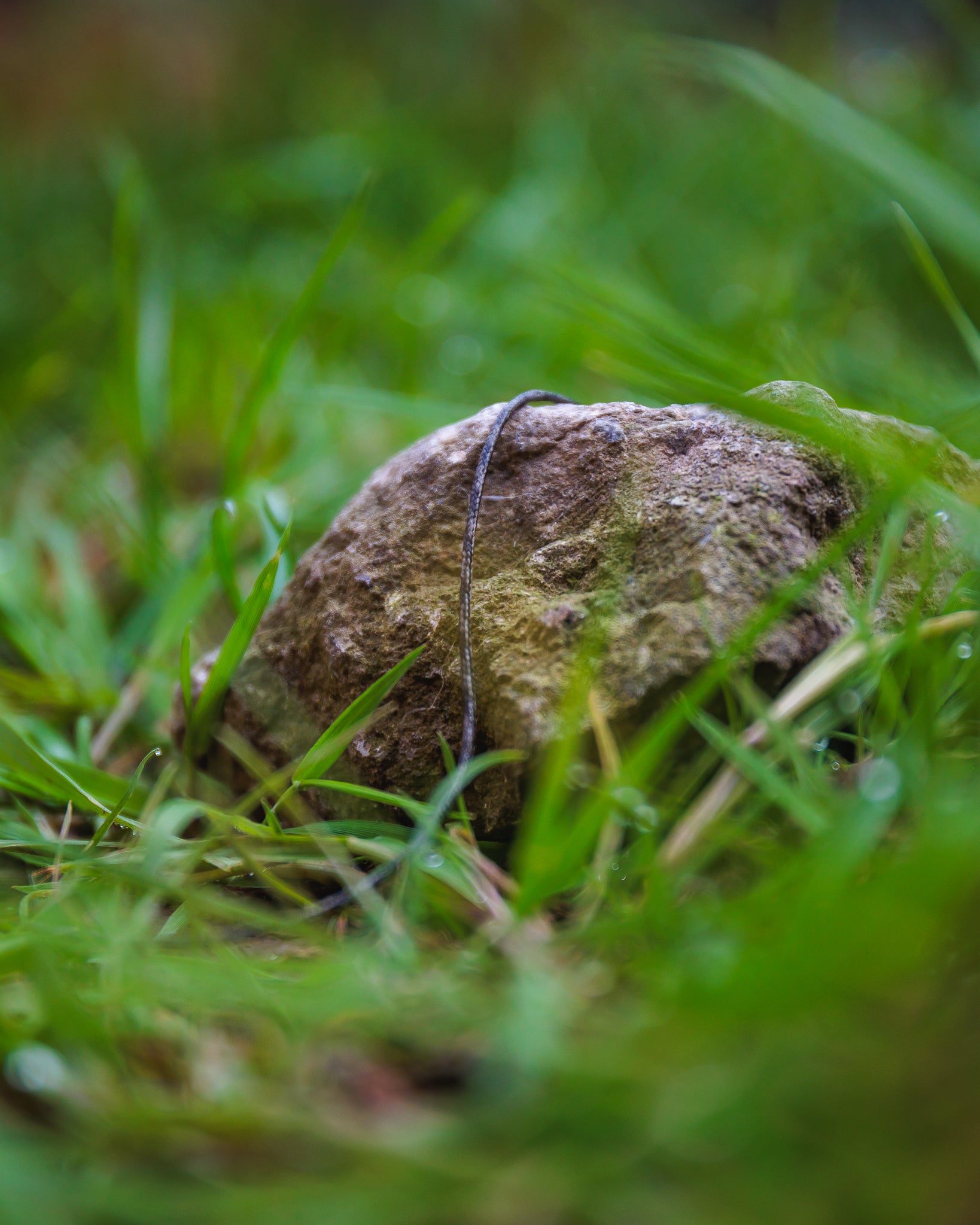 Fox - Edges Naturals Copper-Core Leader 50lb 7m