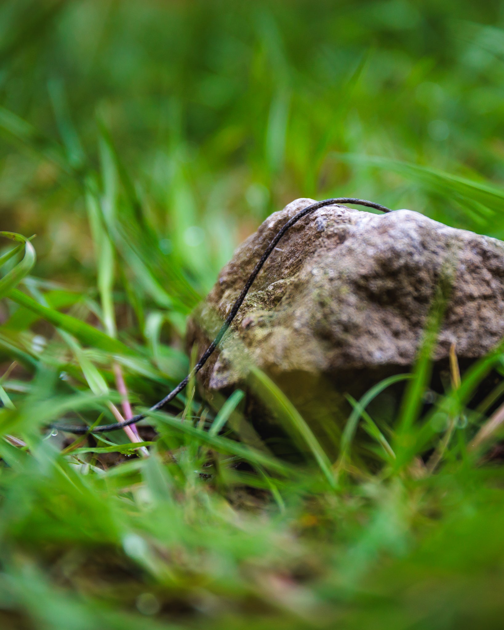 Fox - Edges Naturals Copper-Core Leader 50lb 7m