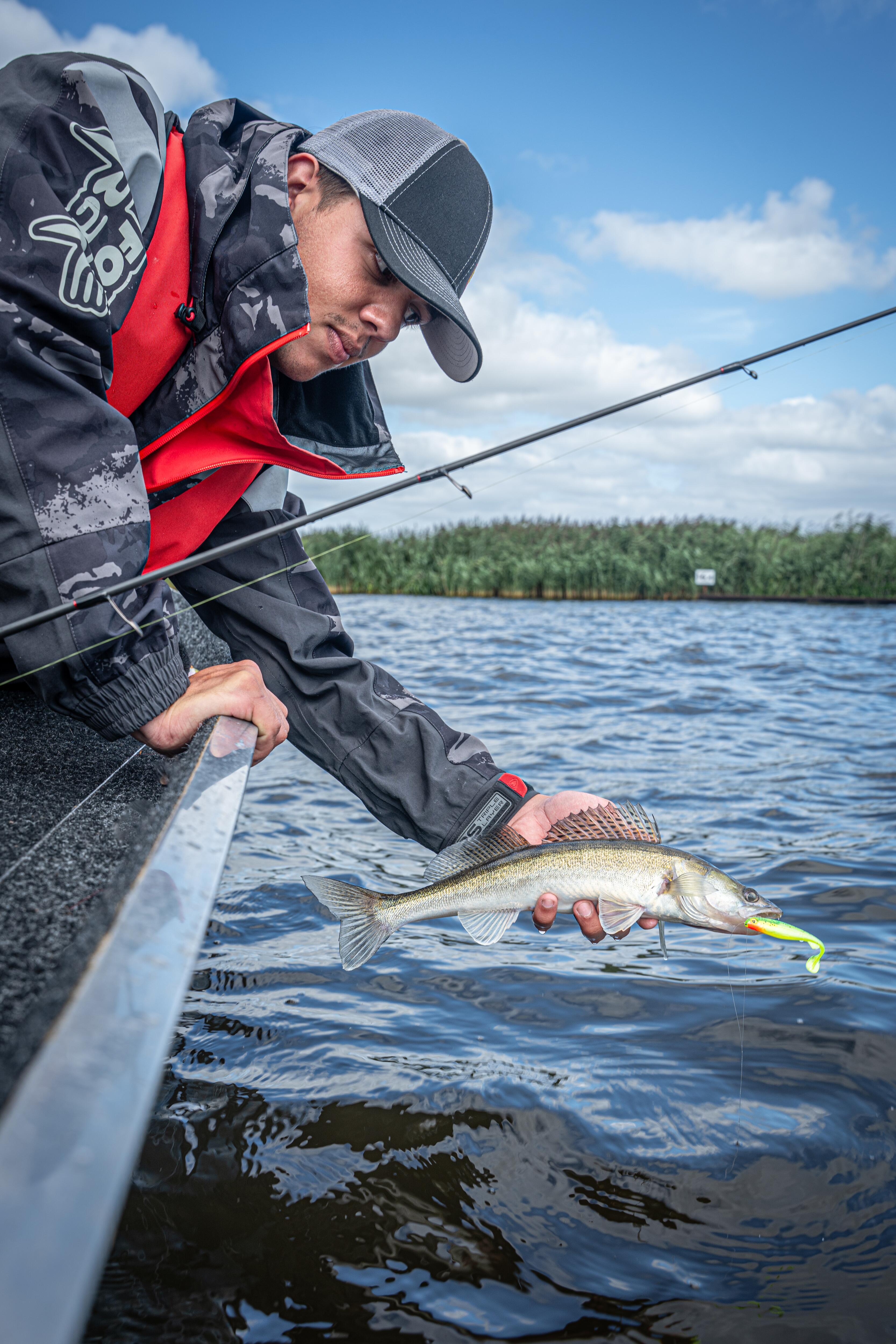 Fox Rage - Drop Shot Micro Ready Rig Size 8