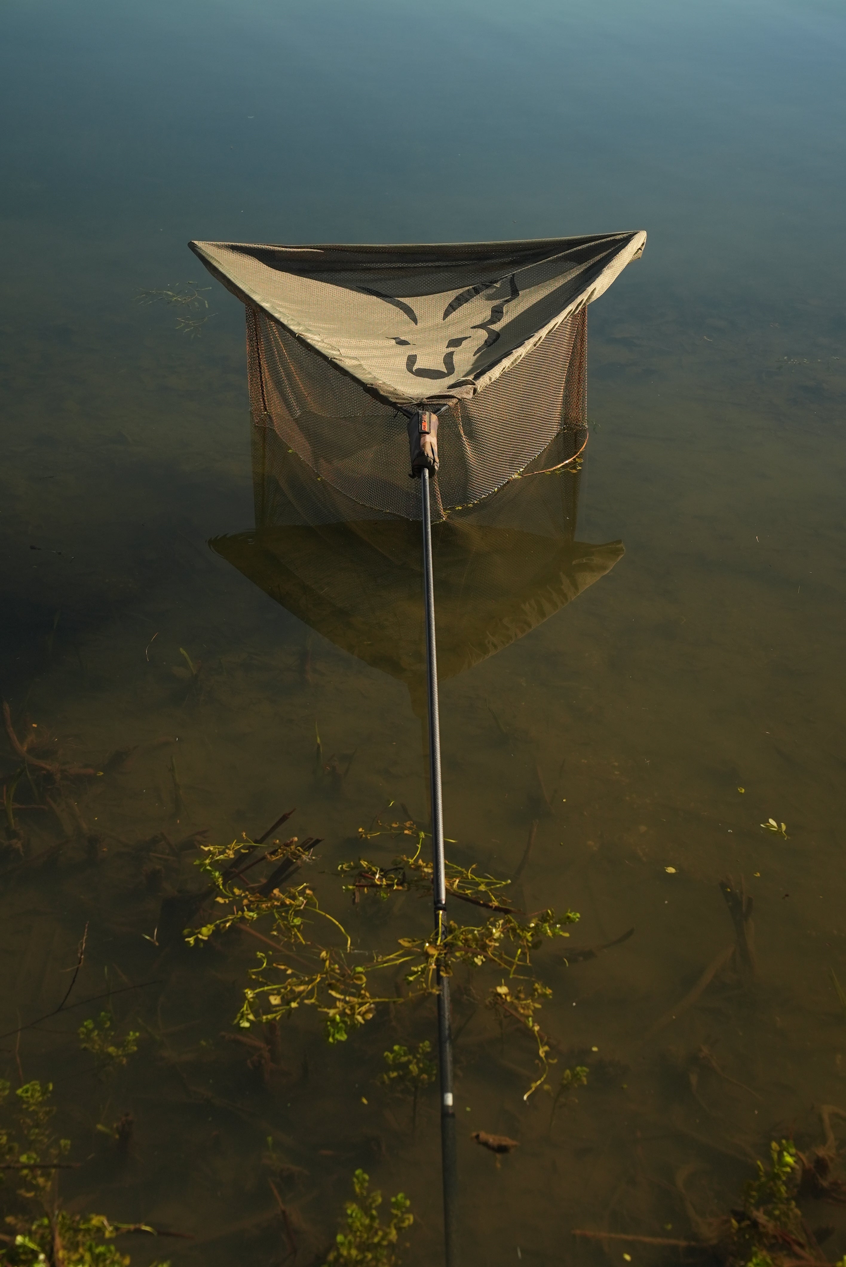 Fox - Net Cover