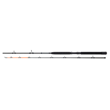 Salmonizer Planner Spinning Rod